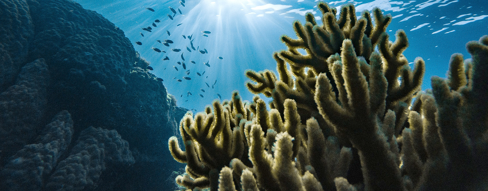 雷火电竞中水回用、、陶瓷膜、、石墨烯膜、、黑金膜公众号，，，接待您扫码关注！！