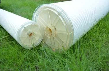 雷火·竞技(中国)-全球领先的电竞赛事平台