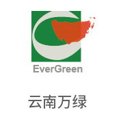 雷火电竞相助同伴：：云南万绿